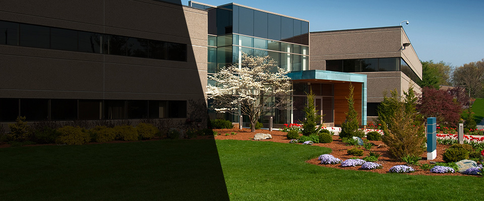 Cave Springs Landscapers