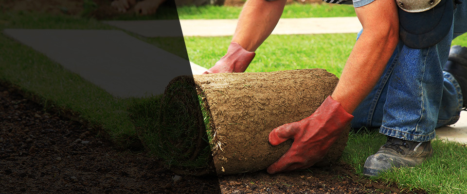 Cave Springs Landscapers